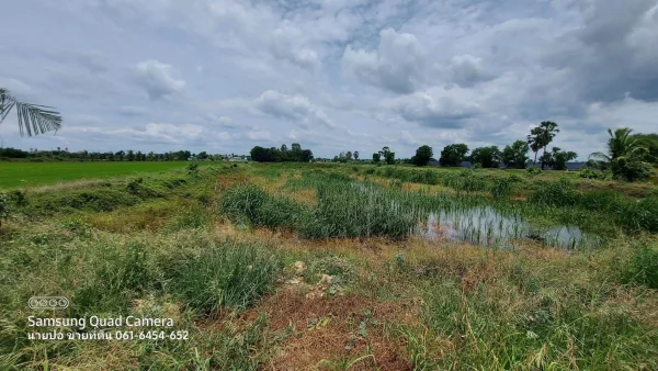 ขายด่วนที่ดินใกล้วัดไผ่หูช้าง 6-3-9 ไร่ ติดถนนลาดยางสาธารณะ บางเลน นครปฐม