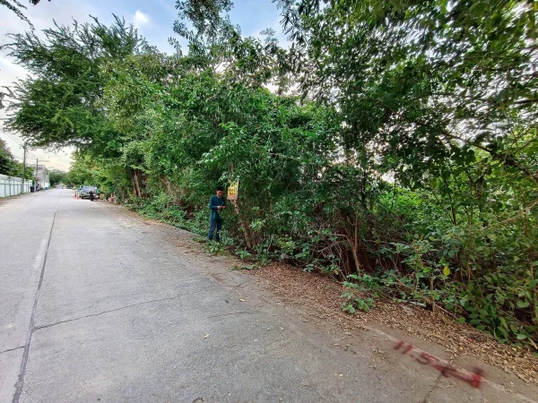 ขายด่วนที่ดินคลองสอง 114 ตรว ติดถนนคอนกรีต ซ.ไอยรา 26 คลองหลวง ปทุมธานี