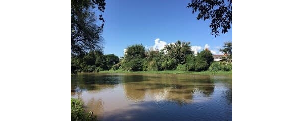 ให้เช่าที่ดิน 85 ตรว หลังการไฟฟ้าหนองหอยเดือนละ7,000บาท