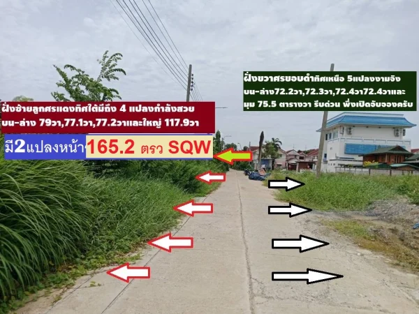 ขายที่ดินจัดสรรT7 T8 2 แปลงสวยทิศเหนือซอยลานทอง 36/1 ม.ลานทอง ปากเกร็ด กลับแจ้งวัฒนะนิดเดียว จะเข้าเมืองทองธานีก็นิดเดียวด้วยสุดๆ มีความต้องการเยอะ ของไม่เยอะรีบด้วย ที่ดินจัดสรรถม 72.4 ตารางวาเป็นโซนบ้านเดี่ยว จุด อยู่ลานทองซอย 36/1 มีหลายแปลงสวยๆ ชอบทิศเหนือใต้โทรได้เลย