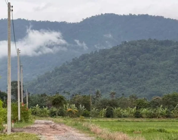 ขายด่วน 1 ไร่ ที่ดินทำเลสวย ต.เขาพระ อ.เมือง จ.นครนายก น้ำไม่ท่วม ภาพที่ 4
