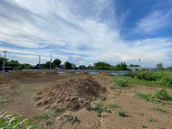 ขายด่วน ที่ดินบางปะหัน 360 ตารางวา แปลงมุม ถมแล้ว ติดถนน บางปะหัน-นครหลวง329)  จ.พระนครศรีอยุธยา