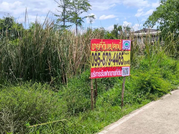 ขายที่ดินใกล้ตลาดรุ่งตะวัน 242 ตรว ติดถนนสาธารณะ ซ.โต๊ะยำ บางบัวทอง นนทบุรี