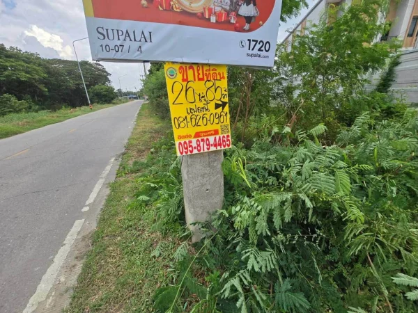 ขายที่ดิน 26 ไร่ 85 ตรว ติดถนนลาดยางสาธารณะ ระแหง ลาดหลุมแก้ว ปทุมธานี