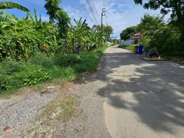 ขายด่วนที่ดินตลิ่งชัน 142 ตรว ติดถนนคอนกรีตสาธารณะ ถมแล้ว พุทธมณฑลสาย ๓ ซอย 22 กทม.
