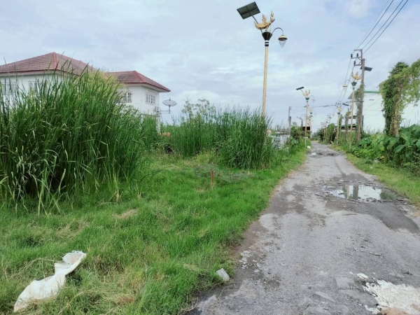 ขายด่วนที่ดินราชาเทวะ 100 ตรว ทำเลดี มีอนาคต  ซ.กิ่งแก้ว 45 อ.บางพลี จ.สมุทรปราการ 