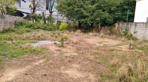 ที่ดินเปล่า ทำเลในเมือง100 ตร.ว.7.5ล้าน