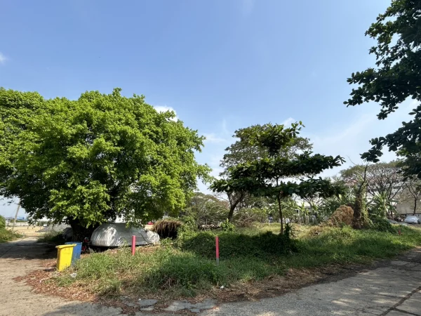 ที่ดินเปล่า 332 ตร.ว. ประเวศ อ่อนนุช55/1 ใกล้รถไฟฟ้าสายสีเหลือง