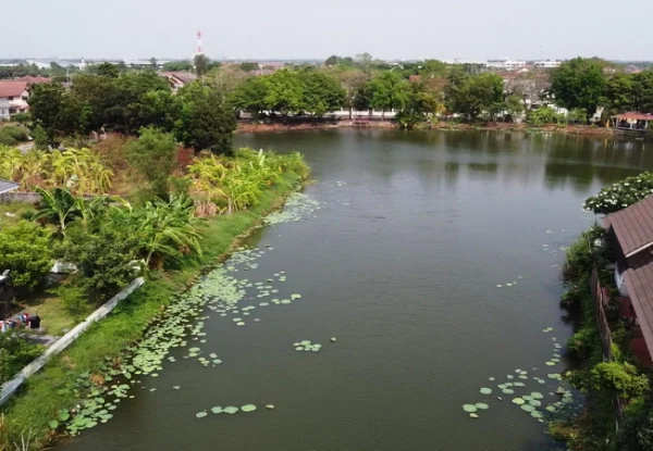 ขายที่ดิน 136 ตร.ว. หมู่บ้านศุภาลัยบุรี คลอง 4 คลองหลวง ปทุมธานี