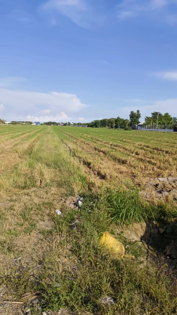 ขายที่ดินเปล่าติดถนนคลอง 9 ลำลูกกา จังหวัดปทุมธานี