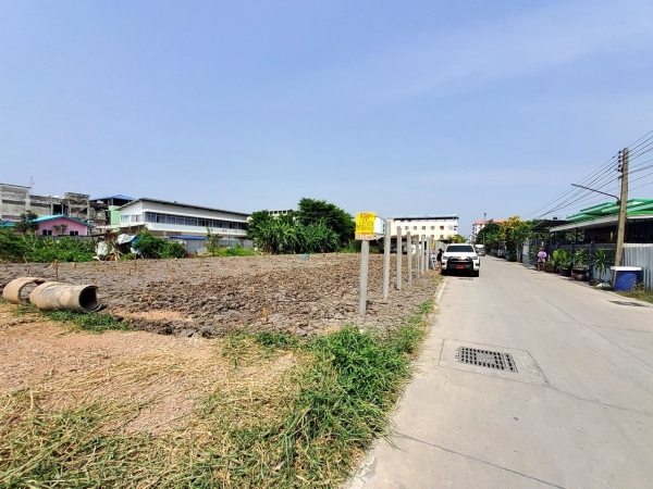  ขายถูก ที่ดินผังสีม่วง 200 ตารางวา ติดถนนคอนกรีตสาธารณะ  ซอย คลองหลวง 9 อ.คลองหลวง  จ.ปทุมธานี 