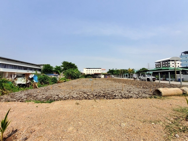  ขายถูก ที่ดินผังสีม่วง 200 ตารางวา ติดถนนคอนกรีตสาธารณะ  ซอย คลองหลวง 9 อ.คลองหลวง  จ.ปทุมธานี 