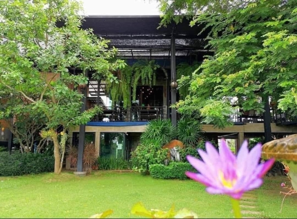 ขาย /ให้เช่า ระยะยาวเนื้อที่ 1ไร่42ตรว. ราคา 9.8 ล้าน หางดง