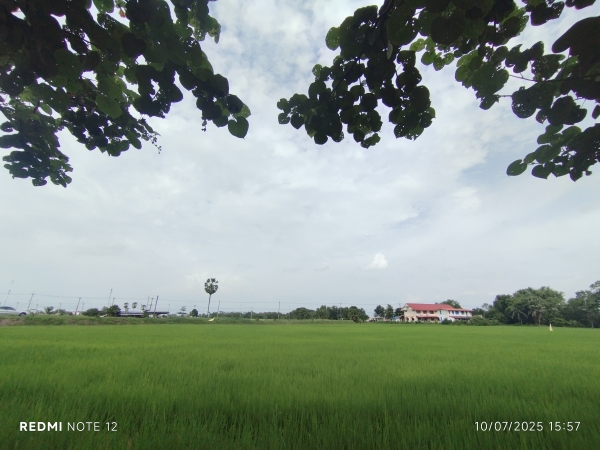 ????  ขายที่ดินริมน้ำ 9ไร่ ข้าง รพ.สต.บางแตน อ.บ้านสร้าง ติดแม่น้ำบางปะกง ฮวงจุ้ยดีเยี่ยม “ถุงทอง” ปากแคบ–ก้นกว้าง เก็บทรัพย์