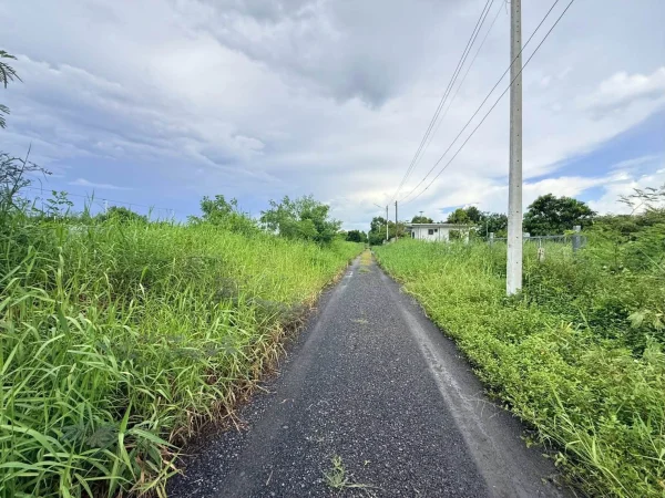 ขายด่วนที่ดินใกล้รพ.คลองหลวง 130 ตรว ติดถนนสาธารณะ ซ.คลองห้าตะวันออก 30 อ.คลองหลวง จ.ปทุมธานี