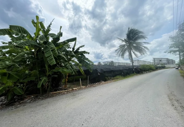 ขายที่ดิน ซอยโรมัน ตำบลสามพราน อำเภอสามพราน นครปฐม เนื้อที่ 8 ไร่