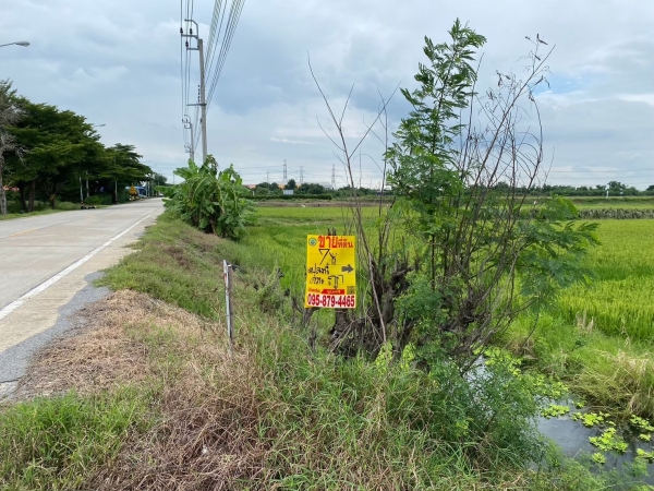 ขายถูก ที่ดินสีม่วงไทรน้อย 7 ไร่ เหมาะสร้างโกดัง-โรงงาน ติดถนน นบ.3015 จ.นนทบุรี