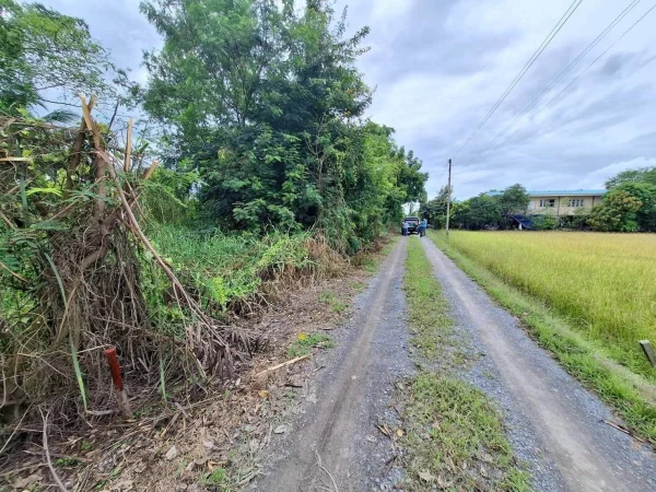 ขายด่วนที่ดินใกล้ราชภัฏสวนสุนันทา 624 ตรว ติดถนนสาธารณะ คลองโยง พุทธมณฑล นครปฐม