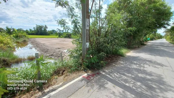 ขายด่วนที่ดินใกล้รร.บ้านคลองฝรั่ง 200 ตรว ติดถนนสาธารณะ ถมแล้ว ไทรน้อย นนทบุรี