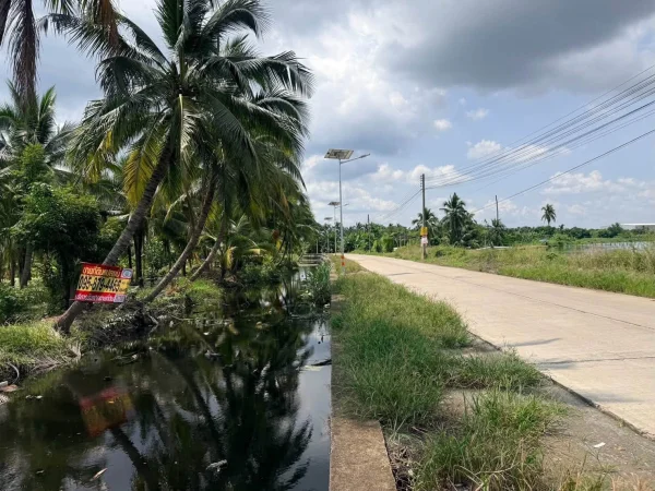 ขายที่ดินนครชัยศรี 641 ตรว ติดถนนสาธารณะ ต.ขุนแก้ว อ.นครชัยศรี จ.นครปฐม ภาพที่ 1