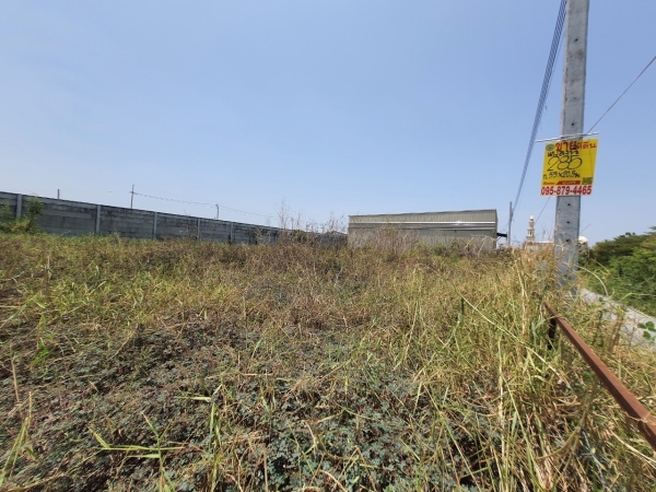 ขายที่ดินบางบัวทอง 285 ตารางวา ถมแล้วทั้งแปลง ติดถนนสาธารณะ ติดหมู่บ้านอารียา ซอย วัดสามง่าม