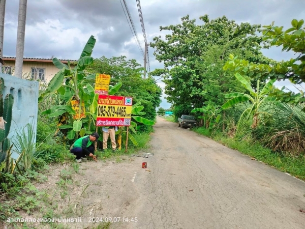 ขายด่วน ที่ดินคลองสอง  100 ตารางวา ติดถนนลาดยางสาธารณะ ซอย บงกช 53 อ.คลองหลวง จ.ปทุมธานี