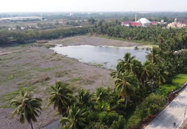 ขายที่ดิน 20 ไร่ ถนนบ้านแพ้ว ตำบลหลักสาม อำเภอบ้านแพ้ว สมุทรสาคร