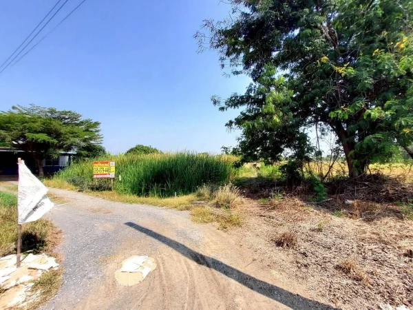 ขายถูกที่ดิน 174 ตรว ติดถนนหินคลุก ต.หนองเพรางาย อ.ไทรน้อย จ.นนทบุรี