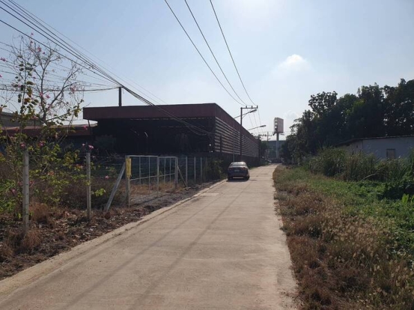 ที่ดินเปล่าให้เช่า บนถนนลำลูกกาคลอง 7 ให้เช่าระยะสั้นและยาว จะแบ่งเช่าก็ได้) ค่าเช่าตกลงกันได้