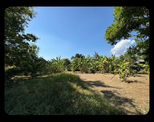 ขายที่ดิน  ต.แม่เหียะ อ.เมือง เชียงใหม่ครับ ผ่อนตรงได้กับเจ้าของ -พื้นที่ 110 ตรว ตรวละ2.7 ล้าน -ค่าโอนคนละครึ่ง -15×30m -ห่างสนามบิน6.5km สอบถามเพิ่มเติม ทักโทร. 0903179683