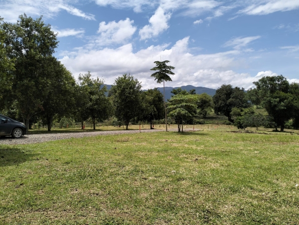 ขายที่ดินจัดสรร ใกล้เทศบาล ต.บ้านดู่ อ.เมือง จ.เชียงราย