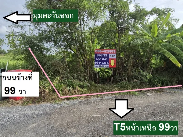 ขายที่ดินแปลงจัดสรรพหล-สายไหมอีกแปลง 99 ตารางวามุมแปลงมุมแปลงสวยประจำโซนจัดสรรนี้ พหลโยธิน 54/1 แยก 8-4-3 ซอยตาลเดี่ยว หน้าที่ดินทิศอหนือ มุมทิศตะวันออกหาไม่ได้แล้ว รีบด่วน