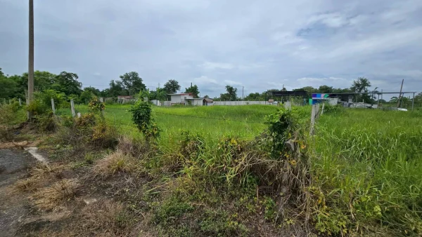 ขายด่วนที่ดิน 300 ตรว ติดถนนสาธารณะ 2 ด้าน ซ.บุญไพศาล1 คลอง 9 หนองเสือ ปทุมธานี