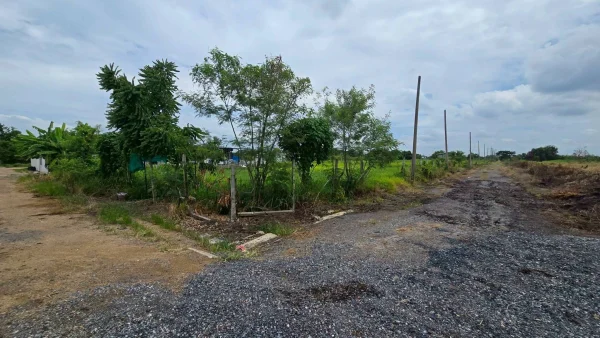 ขายด่วนที่ดิน 300 ตรว ติดถนนสาธารณะ 2 ด้าน ซ.บุญไพศาล1 คลอง 9 หนองเสือ ปทุมธานี