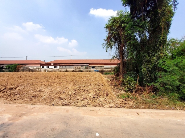 ขายที่ดินคลองสาม 200 ตารางวา ติดถนนคอนกรีตสาธารณะ ถมแล้ว ซอยคลองสาม 6/2 อ.คลองหลวง จ.ปทุมธานี