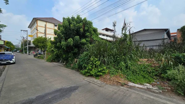 ขายด่วนที่ดิน 50 ตรว ติดถนนคอนกรีต พุทธมณฑลสาย 4 กระทุ่มแบน สมุทรสาคร