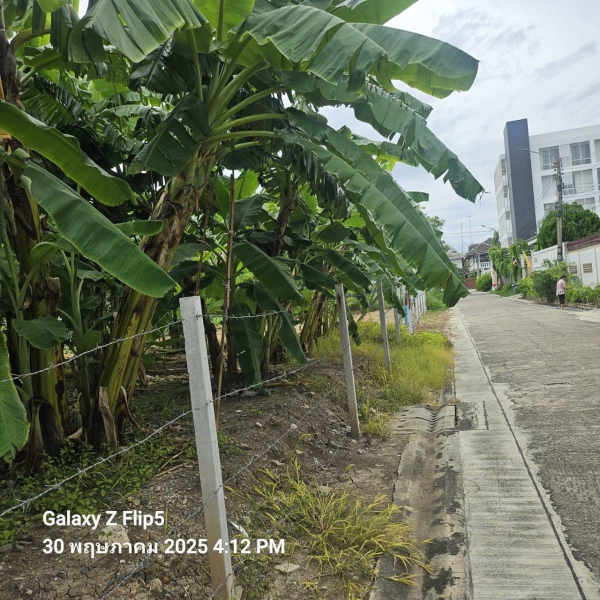 ขายที่ดินทำเลชินเขต 1 เหมาะสร้างบ้านเดี่ยว ออฟฟิศ ทาวน์โฮม หอพัก หรือเก็งกำไรในอนาคต พื้นที่ 200 ตรว ซอยงามวงศ์วาน 43 แยก 2-7