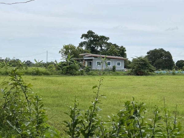 ขายที่ดินสวย ทำเลดี เมืองศรีสะเกษ 5 ไร่ ราคาเพียงล้านสอง เท่านั้น