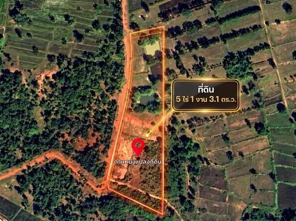 ขายที่ดิน อ.พิบูลมังสาหาร อุบลฯ ราคาคุ้มมาก!
