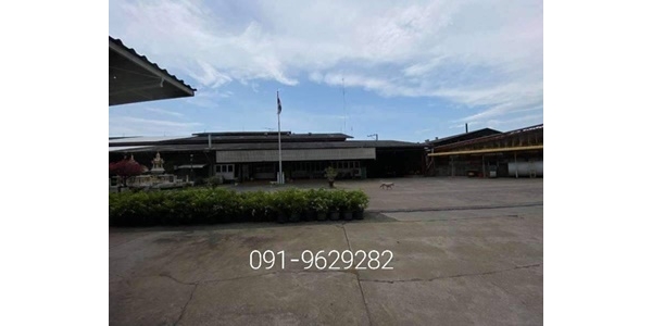 ขายที่ดินพร้อมโรงงานผลิตไม้อัด บางบัวทอง นนทบุรี