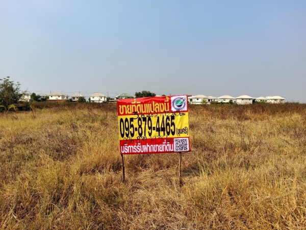 ขายด่วน ที่ดินคลองสิบสอง 3 ไร่แบ่งได้) ถมแล้ว ติดถนนคอนกรีตสาธารณะ