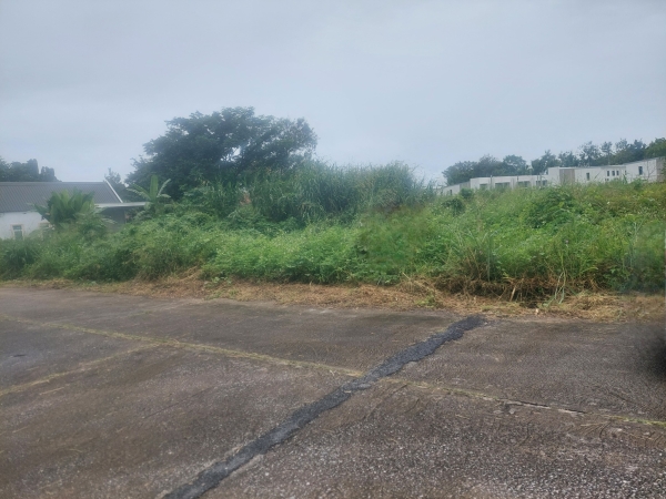 ขายที่ดิน ต.สุเทพ อ.เมืองเชียงใหม่ พื้นที่ 118 ตรว 5 ล้านน้ำไม่ท่วม)