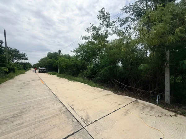 ขายด่วนที่ดิน 210 ตรว ติดถนนคอนกรีตสาธารณะ ซ.ศาลาครุ 47 คลอง 13 หนองเสือ ปทุมธานี