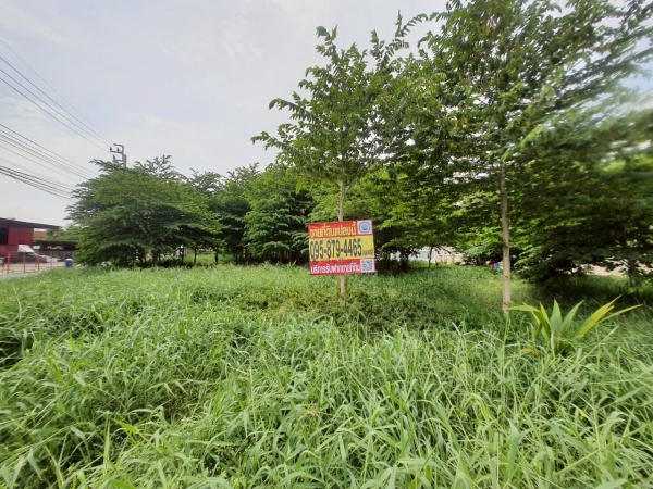 ขายที่ดินราชพฤกษ์-นครอินทร์ 155 ตารางวา ติดถนนลาดยางสาธารณะ 2 ด้าน ถมแล้ว อ.บางกรวย จ.นนทบุรี