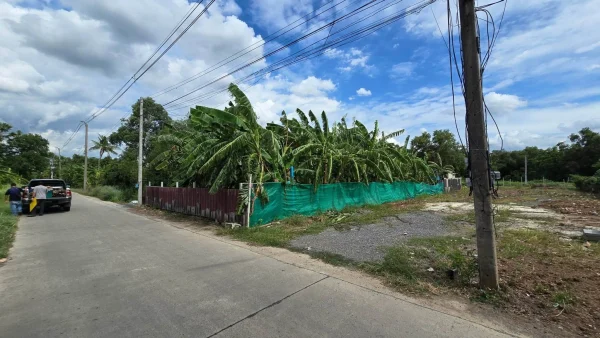 ขายที่ดิน 200 ตรว ติดถนนคอนกรีตสาธารณะ ถมแล้ว ซ.คลองสี่ ตอ.36 คลองหลวง ปทุมธานี