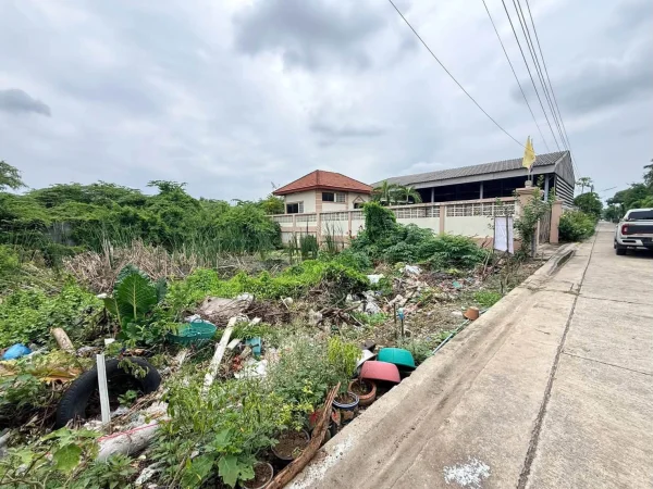 ขายด่วนที่ดินตลาดใหญ่ลำลูกกา 100 ตรว ติดถนนคอนกรีต ซ.เทศบาล 17 ลำลูกกา ปทุมธานี