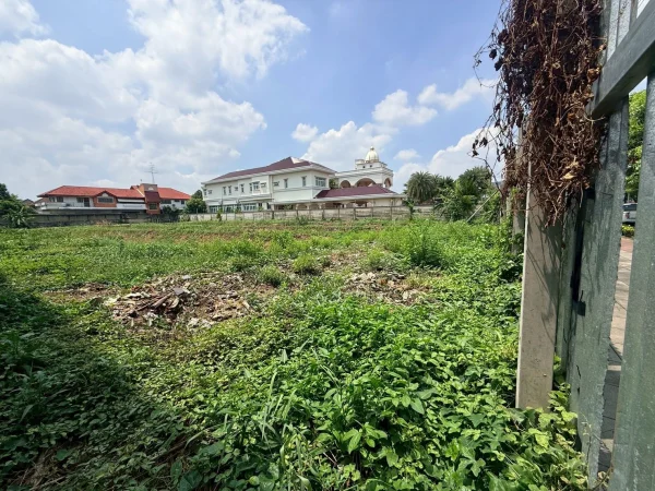 ขายด่วนที่ดิน 704 ตรว ติดถนนพุทธมณฑลสาย 2 ถนนพุทธมณฑลสาย 2 เขตบางแค กทม