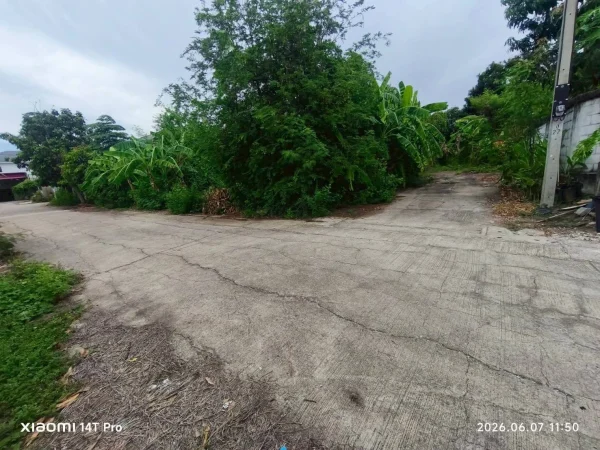 ขายด่วนที่ดิน 55 ตรว ติดถนนสาธารณะ ถมแล้ว ม.ดินอุดม 7 บางบัวทอง นนทบุรี