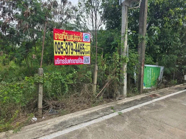 ขายด่วนที่ดินใกล้เซ็นทรัลศาลายา 91 ตรว ติดถนนคอนกรีตสาธารณะ ถมแล้ว ซ.หอถังประปา รพช. อ.พุทธมณฑล จ.นครปฐม
