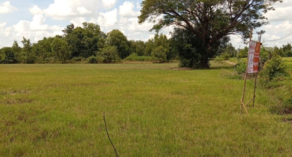 ขายที่ดินศรีสะเกษ 5 ไร่ 1,200,000 บาท ที่ดินสวย ทำเลดี